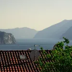 Feli