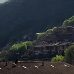 Feli