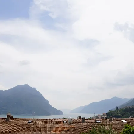 Feli *