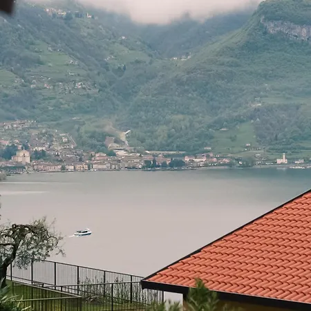 Apartment Feli