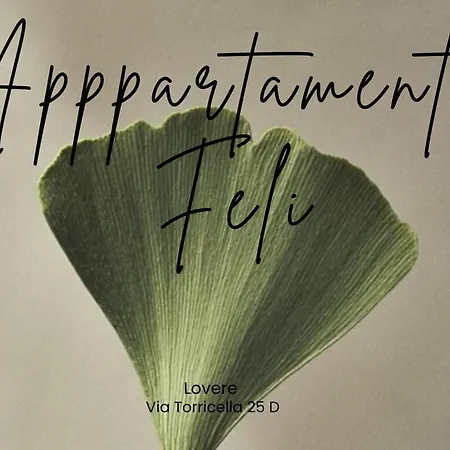 Feli Apartment
